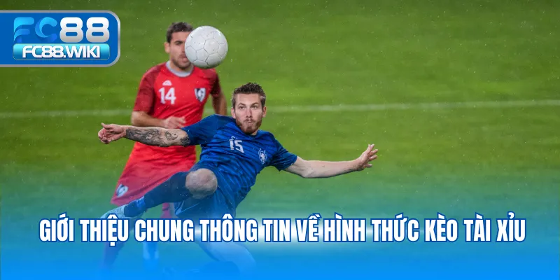 Giới thiệu chung thông tin về hình thức kèo tài xỉu