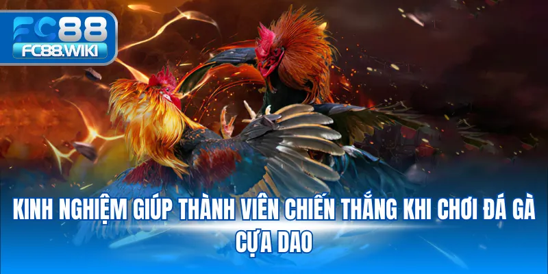 Đá gà cựa dao – Trò chơi kịch tính đậm chất truyền thống tại FC88 Kinh nghiệm giúp thành viên chiến thắng khi chơi đá gà cựa dao