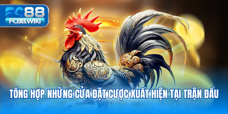 Tổng hợp những cửa đặt cược xuất hiện tại trận đấu